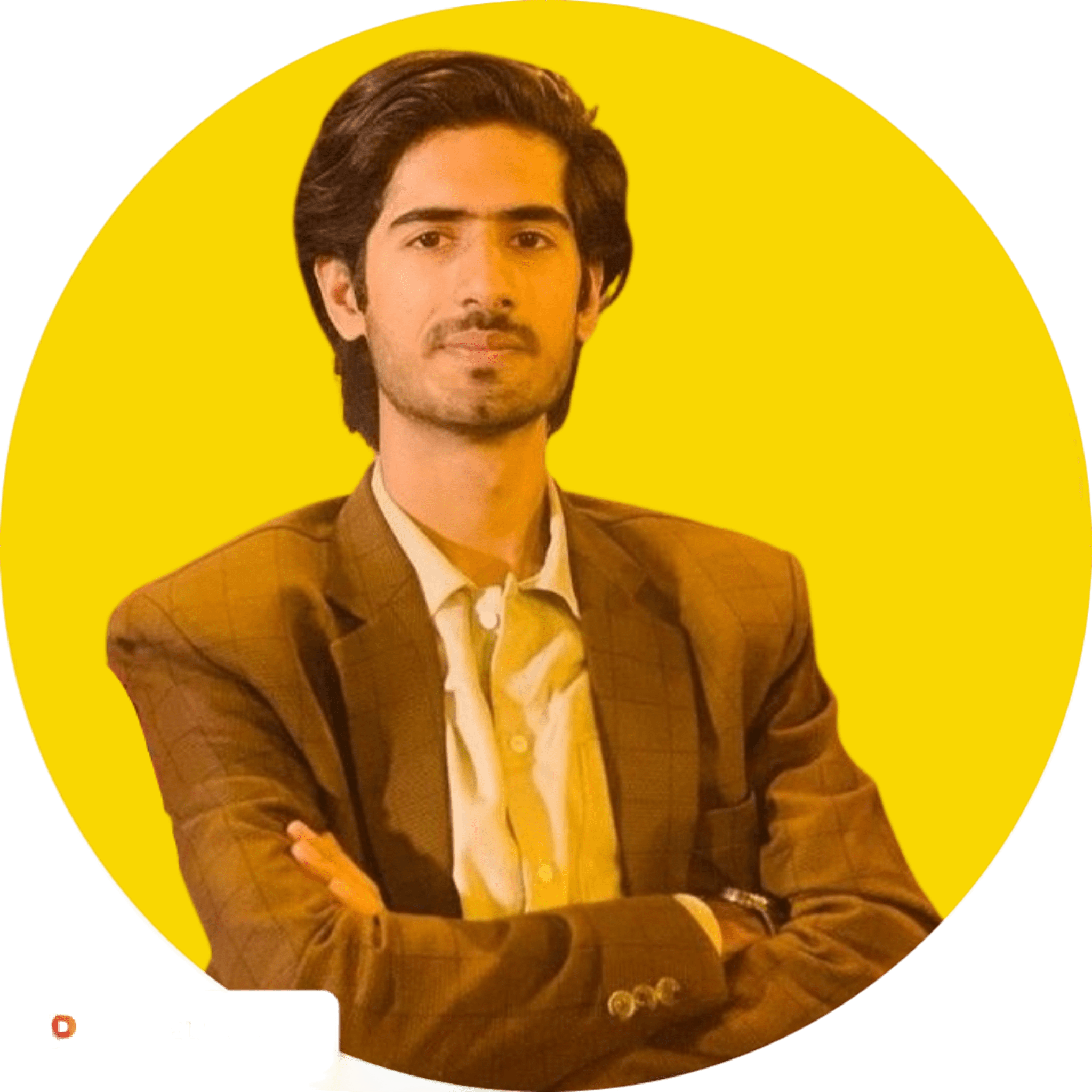 Hammad ali content writing services